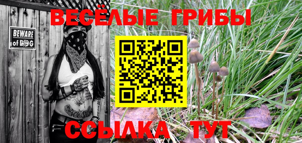 Псилоцибиновые грибы ЛСД  как найти закладки  Вход с VPN  Строитель  Галлюциногенные грибы мицелий 