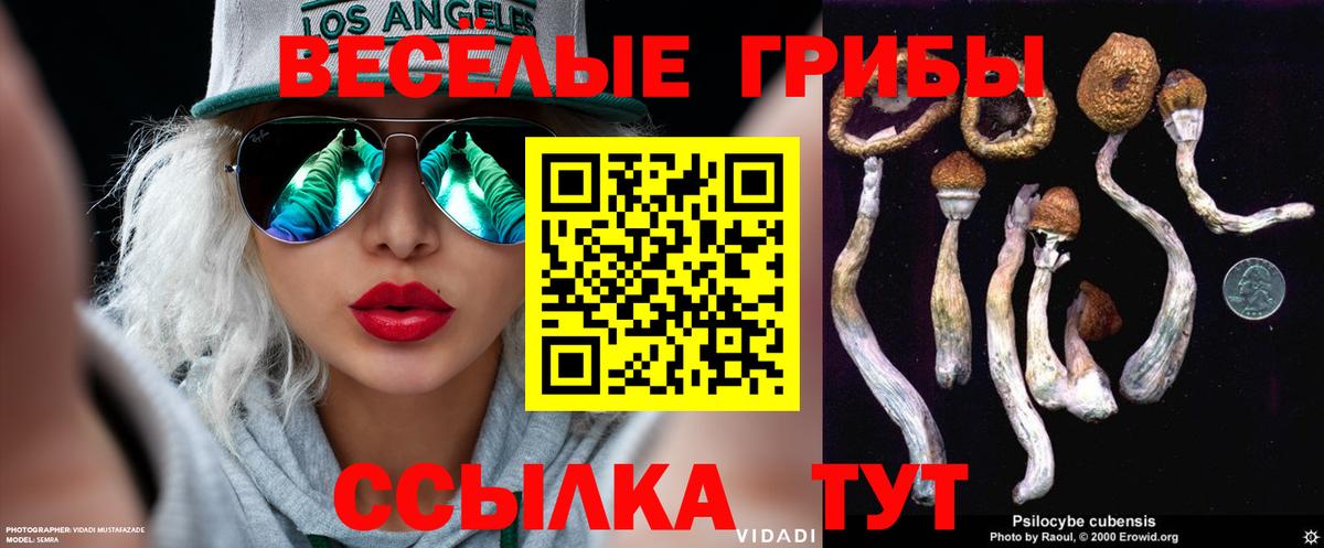 Галлюциногенные грибы ЛСД Строитель